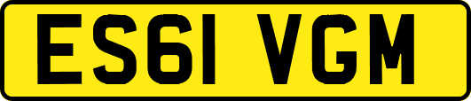 ES61VGM