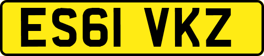ES61VKZ