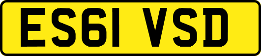 ES61VSD