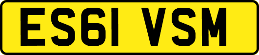 ES61VSM
