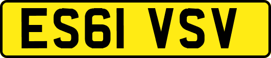 ES61VSV