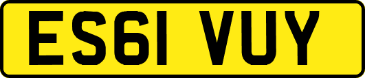ES61VUY