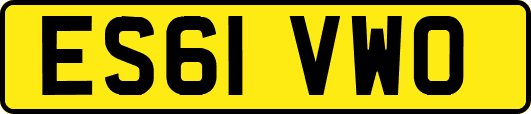 ES61VWO