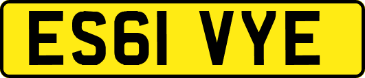 ES61VYE