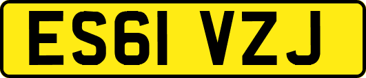 ES61VZJ