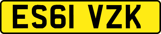 ES61VZK