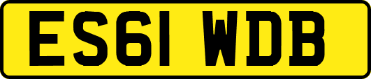 ES61WDB