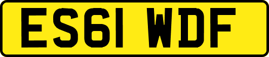 ES61WDF