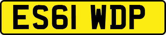 ES61WDP