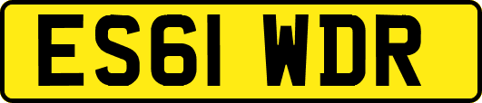 ES61WDR