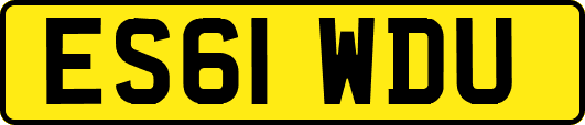 ES61WDU