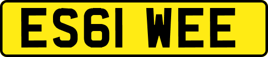 ES61WEE