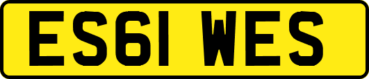 ES61WES