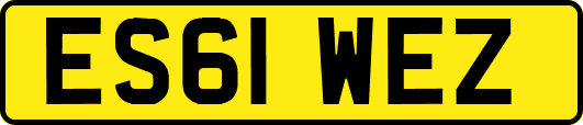 ES61WEZ