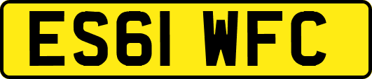 ES61WFC