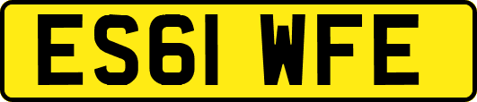 ES61WFE