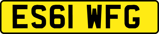 ES61WFG