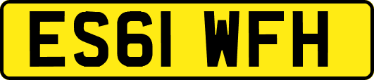 ES61WFH
