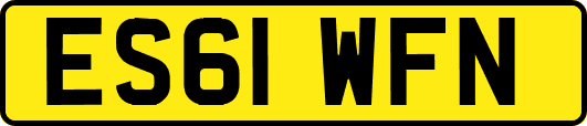 ES61WFN