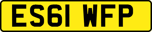 ES61WFP