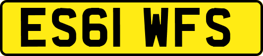 ES61WFS
