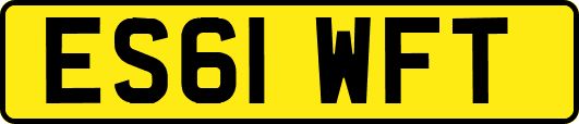 ES61WFT