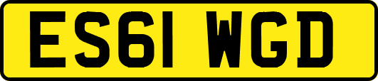 ES61WGD