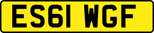 ES61WGF