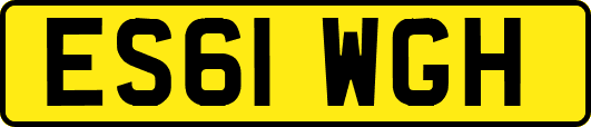 ES61WGH