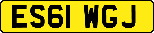 ES61WGJ