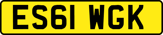 ES61WGK