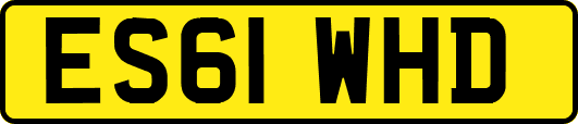 ES61WHD