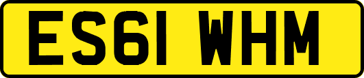 ES61WHM