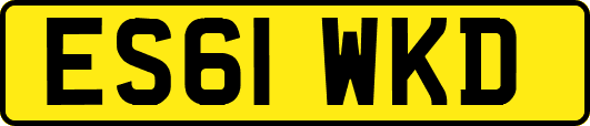 ES61WKD
