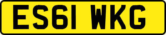 ES61WKG