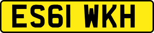 ES61WKH