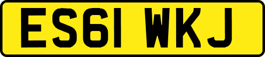 ES61WKJ