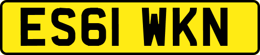 ES61WKN