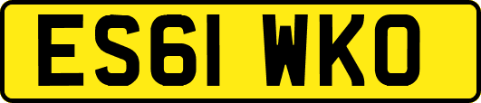 ES61WKO