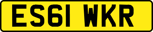 ES61WKR