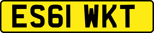 ES61WKT