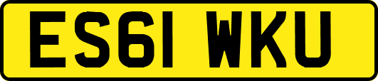ES61WKU