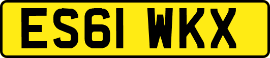 ES61WKX