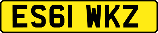 ES61WKZ
