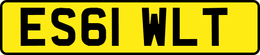 ES61WLT