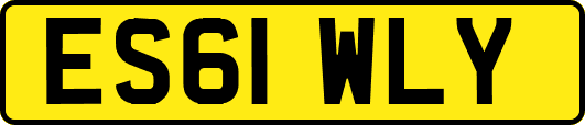 ES61WLY