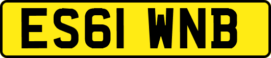 ES61WNB