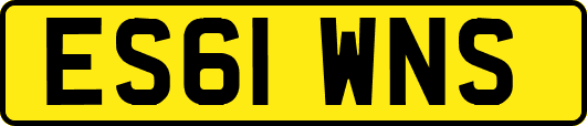 ES61WNS