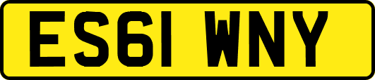 ES61WNY