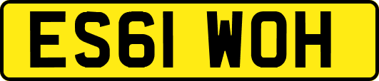 ES61WOH